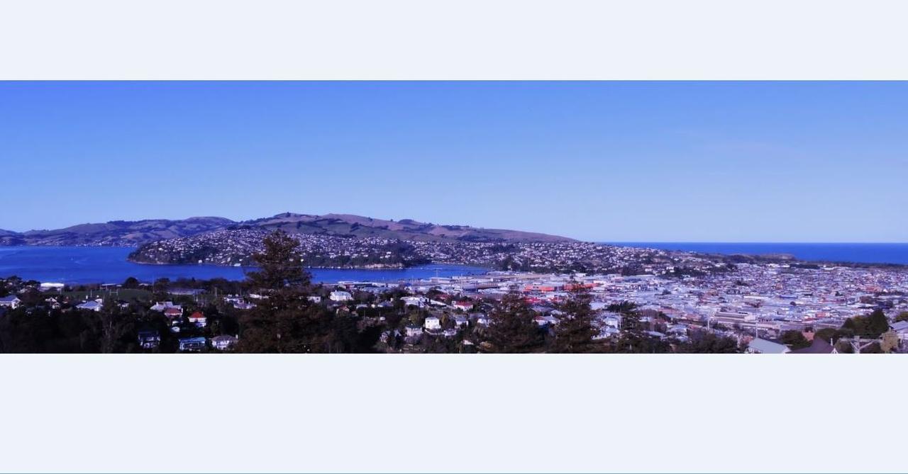 Beautiful Panoramic Views Lägenhet Dunedin Exteriör bild